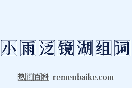 小雨泛镜湖组词是什么意思的图片